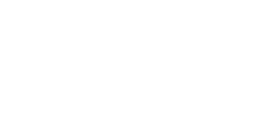 PMG logo